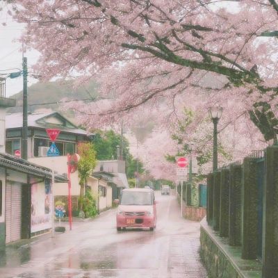 奥特曼学数学免费下载